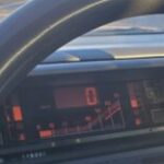 Illustration du profil de LABILLE